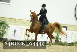 24BUCK_04449 thumbnail