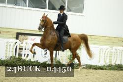 24BUCK_04450 thumbnail