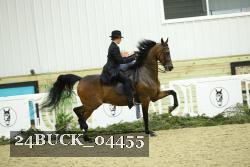 24BUCK_04455 thumbnail
