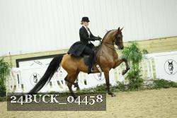 24BUCK_04458 thumbnail