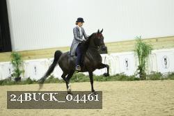 24BUCK_04461 thumbnail