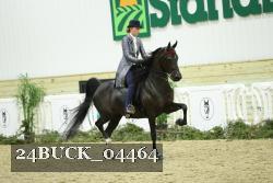 24BUCK_04464 thumbnail