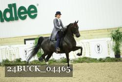 24BUCK_04465 thumbnail