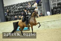 24BUCK_04466 thumbnail