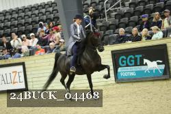 24BUCK_04468 thumbnail