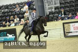 24BUCK_04469 thumbnail