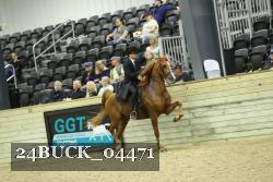 24BUCK_04471 thumbnail