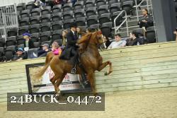 24BUCK_04472 thumbnail