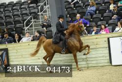 24BUCK_04473 thumbnail