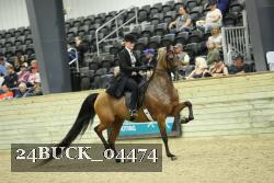 24BUCK_04474 thumbnail