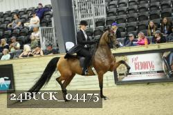 24BUCK_04475 thumbnail