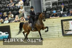 24BUCK_04476 thumbnail