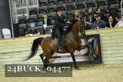24BUCK_04477 thumbnail