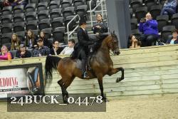 24BUCK_04478 thumbnail