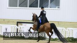 24BUCK_04481 thumbnail