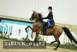 24BUCK_04482 thumbnail