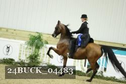 24BUCK_04483 thumbnail
