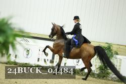 24BUCK_04484 thumbnail