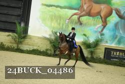 24BUCK_04486 thumbnail
