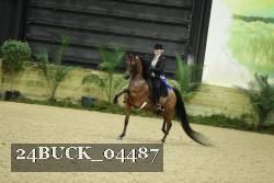 24BUCK_04487 thumbnail