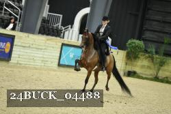 24BUCK_04488 thumbnail