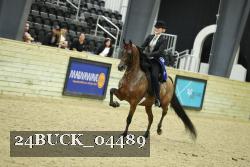 24BUCK_04489 thumbnail