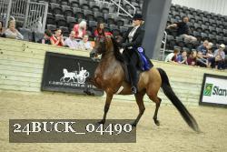 24BUCK_04490 thumbnail