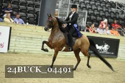 24BUCK_04491 thumbnail