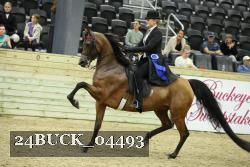 24BUCK_04493 thumbnail