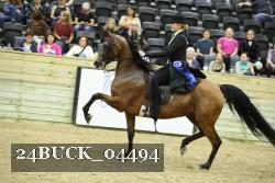 24BUCK_04494 thumbnail