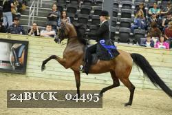24BUCK_04495 thumbnail
