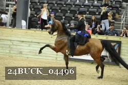 24BUCK_04496 thumbnail