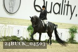 24BUCK_04503 thumbnail
