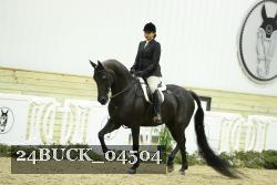 24BUCK_04504 thumbnail