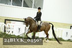 24BUCK_04507 thumbnail