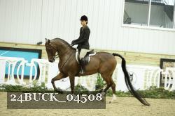 24BUCK_04508 thumbnail