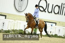 24BUCK_04509 thumbnail