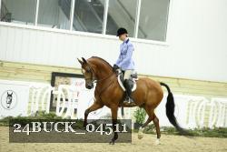 24BUCK_04511 thumbnail