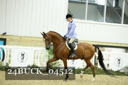 24BUCK_04512 thumbnail