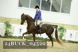 24BUCK_04520 thumbnail