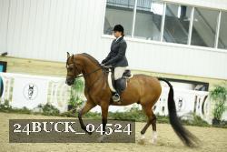24BUCK_04524 thumbnail