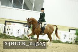 24BUCK_04525 thumbnail