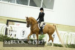 24BUCK_04527 thumbnail