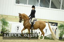 24BUCK_04529 thumbnail