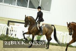 24BUCK_04530 thumbnail