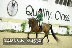 24BUCK_04532 thumbnail