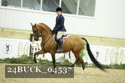 24BUCK_04537 thumbnail