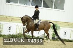 24BUCK_04539 thumbnail