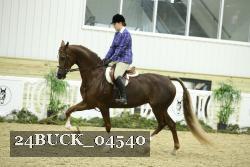 24BUCK_04540 thumbnail