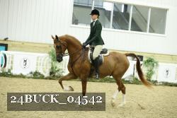 24BUCK_04542 thumbnail